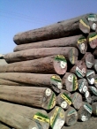 Burma Teak Logs